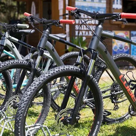 Resort Saltwater Oasis Wellness&spa Homes - Adults Only *